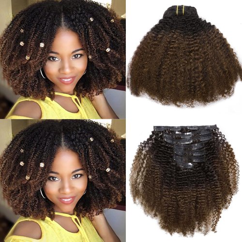Loxxy Kinkys Curly Clip In Hair Extensions 4A 4B Afro Kinky Curly Clip In Remy Clip Ins Hair Extensions Human Hair For Black Women Full Head Natural Hair Clip Ins Ombre Dark Brown 16 Inch #1b/4