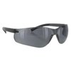 Pyramex Safety Products S2520S Ztek Safety Glasses, Gray Lens with Gray Temples, Gray