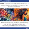 Difeel Biotin Pro Growth Premium Hair Oil 8 oz. - Infused with Fortifying Biotin for Healthy Hair Growth