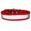 Cotton Web/Leather Reflective Dog Collar 20" Long 1" Wide Fits 14"-18" Neck, Boxer, Retriever