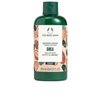 The Body Shop Shea Shower Cream, Moisturizing Body Wash, 8.4 Fl. Oz.