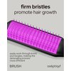 Aséptiqo Brush - Premium Detangling Hair Brush, Compact & Easy to Clean Multi Purpose HairBrush for Women, Men, Kids - Ideal for Straight to Wavy Hair, Wet or Dry, Heat Resistant Hair Brush