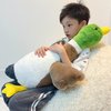 Tanha Mallard Duck Plush, Duck Stuffed Animals, Mallard Duck Baby Stuff Plush Toy (30inch / 75cm)