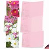 The Best Card Company - 10 Blank Note Cards with Flowers (4 x 5.12 Inch) - Floral Notecards, All Occasion Boxed Assortment - Cosmos-Politan M6029