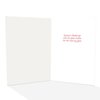 Stonehouse Collection - Football Christmas Cards - 18 Holiday Sport Cards & Envelopes - Football Theme
