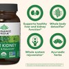 Organic India Liver Kidney Herbal Supplement - Detoxify & Rejuvenate, Supports Healthy Liver & Kidney Function, Vegan, Gluten-Free, Kosher, USDA Certified Organic, Non-GMO - 90 Capsules